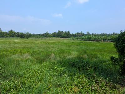 Residential Plot
