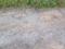 Thangam nagar Plot View 2