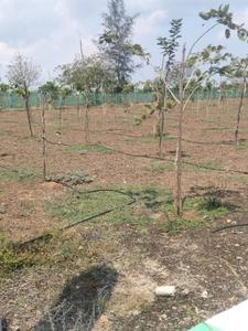 Image of 9600 Sq.ft Residential Plot / Land for sale in Acharapakkam, Chennai for Rs. 3200000