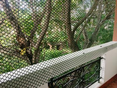 Balcony Image of 2400 Sq.ft 3 BHK Apartment / Flat for rent in Anna Nagar Chennai for Rs. 80000