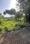 devyog Plot View 2