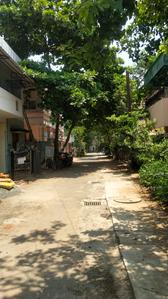 Residential Plot