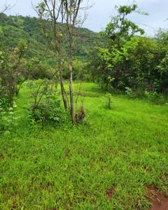 Image of 40000 Sq.ft Residential Plot / Land for sale in Bhor, Pune for Rs. 3000000