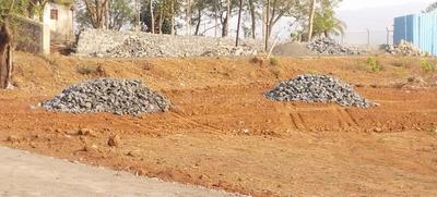 Riverine Plot View 3