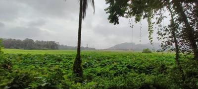 Image of 3550 Sq.ft Residential Plot / Land for sale in Assonora, Goa for Rs. 71000000