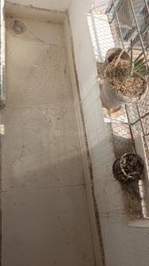 Balcony Image of 1050 Sq.ft 2 BHK Apartment / Flat for rent in Mangala Valley, Kalyan West Kalyan for Rs. 19000