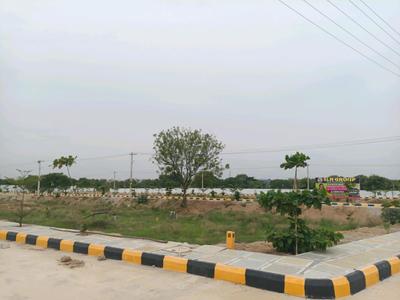 IDA Plot View 2