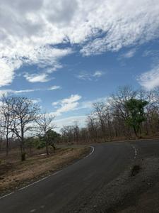 Image of 530 Sq.ft 1 RK Farm House for sale in Wanadongri, Nagpur for Rs. 1680000