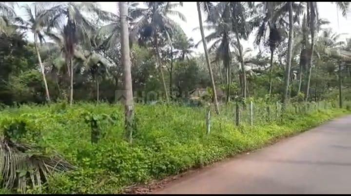 Residential Plot in Benaulim Main Image 1