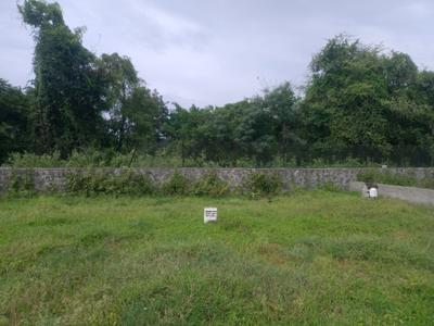 Phase 3 Plot View 2