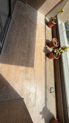 Image of 3445 Sq.ft 4 BHK Apartment / Flat for sale in Super Shaligram, Gota, Ahmedabad for Rs. 19000000