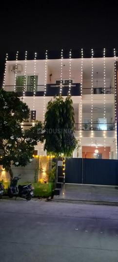 NSG Society More Images 1