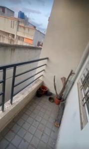 Balcony Image of 500 Sq.ft 1 BHK Apartment / Flat for rent in Lohegaon Pune for Rs. 9750