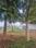 J P Nagar Plot View 2