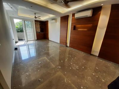Hall Image of 1800 Sq.ft 3 BHK Builder Floor for sale in Green Park New Delhi for Rs. 65000000