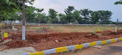 Summi Plot View 2