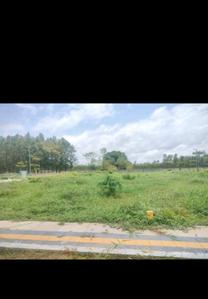 Residential Plot