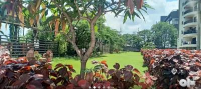 Image of 1000 Sq.ft 2 BHK Apartment / Flat for rent in Bhicholi Mardana, Indore for Rs. 7500