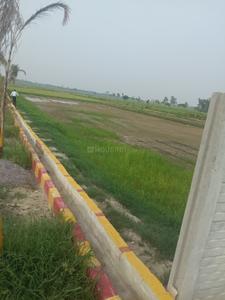 Image of 1000 Sq.ft Residential Plot / Land for sale in Amausi, Lucknow for Rs. 1700000
