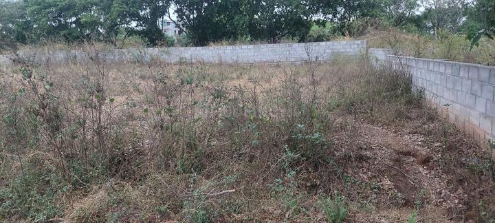 Vajarahalli Main Image 1