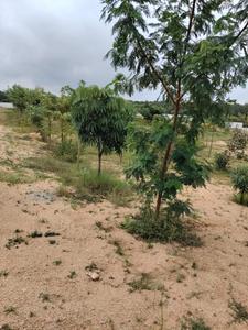 Image of 620 Sq.ft Residential Plot / Land for sale in Vikarabad Town, Vikarabad for Rs. 4950000