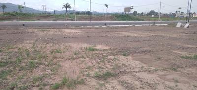 Trident Hills 1 Plot View 2