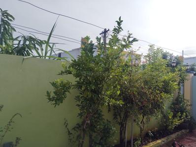 Image of 1550 Sq.ft 3 BHK Independent House for sale in Veppampattu, Chennai for Rs. 8500000