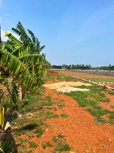 Image of 1000 Sq.ft Residential Plot / Land for sale in Ashok Nagar, Bhubaneswar for Rs. 1280000