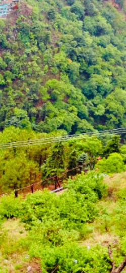 Bhatta Gaon Main Image 1
