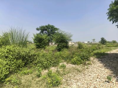 Image of 100 Sq.ft Residential Plot / Land for sale in Bhanauta, Greater Noida for Rs. 3512200