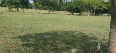 Image of 1200 Sq.ft Residential Plot / Land for sale in Attibele, Bengaluru for Rs. 2400000