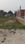 Nawabganj Main Image 1