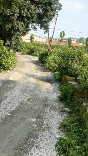 Doiwala Plot View 1