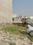 Ismailganj Plot View 2