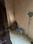Sector 17 Bedroom 2