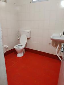 Bathroom Image of 900 Sq.ft 2 BHK Independent House for rent in Royal Nagar Tirupathi for Rs. 16000