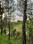 Land for house  Main Image 1
