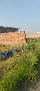 Sector 22D Greater Noida Plot View 2