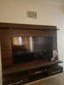 Hall Image of 5000 Sq.ft 5 BHK Independent House for sale in Sector 41 Noida for Rs. 55000000