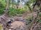 Netaji Pally, Purba Barisha Plot View 2