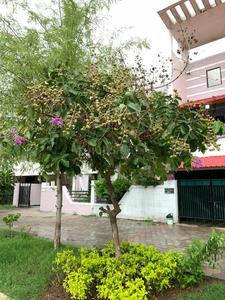 Image of 1200 Sq.ft Residential Plot / Land for sale in Ratanpur, Bhopal for Rs. 6130000