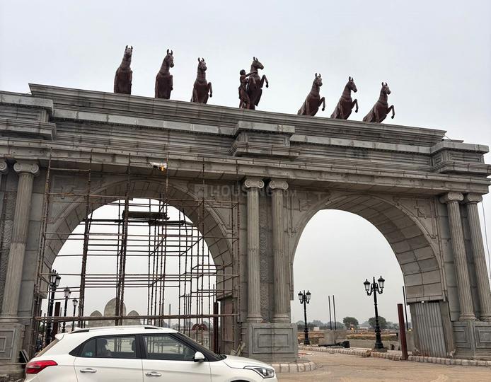 G And G Amolik Blossom Woods Main Image 1