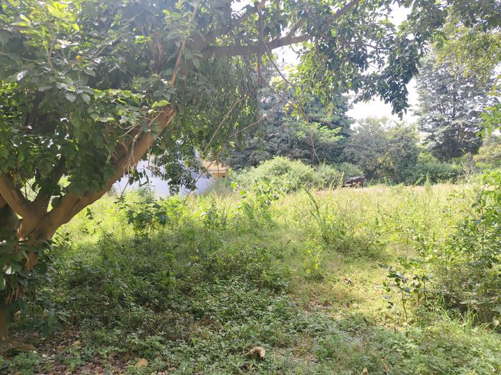 Rammana Layout, Byrathi Main Image 1