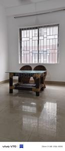 Hall Image of 850 Sq.ft 2 BHK Apartment / Flat for rent in Don Bosco Colony Siliguri for Rs. 16000