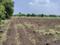 Hatkanangale Plot View 2