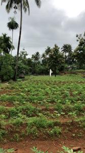 Image of 21780 Sq.ft Residential Plot / Land for sale in Chalakudy, Thrissur for Rs. 12500000