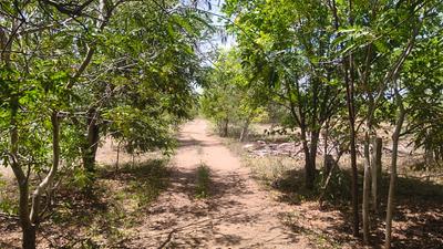 Shekinah Plot View 1