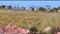 Patrapada Plot View 2