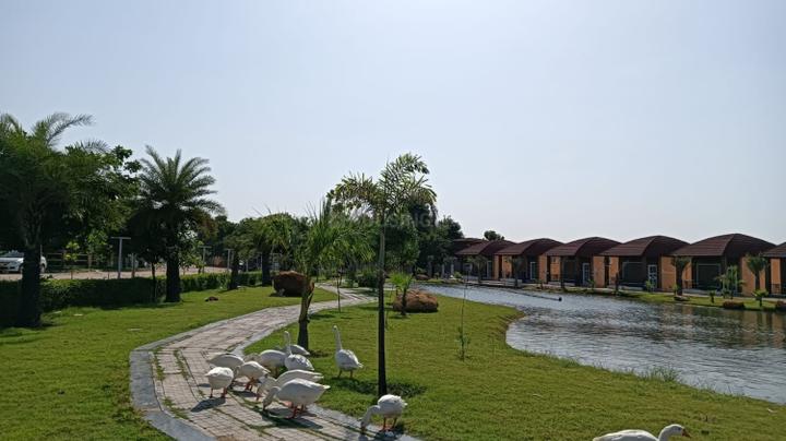 Chaksu Main Image 1