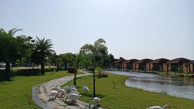 Image of 900 Sq.ft Residential Plot / Land for sale in Chaksu, Jaipur for Rs. 170000